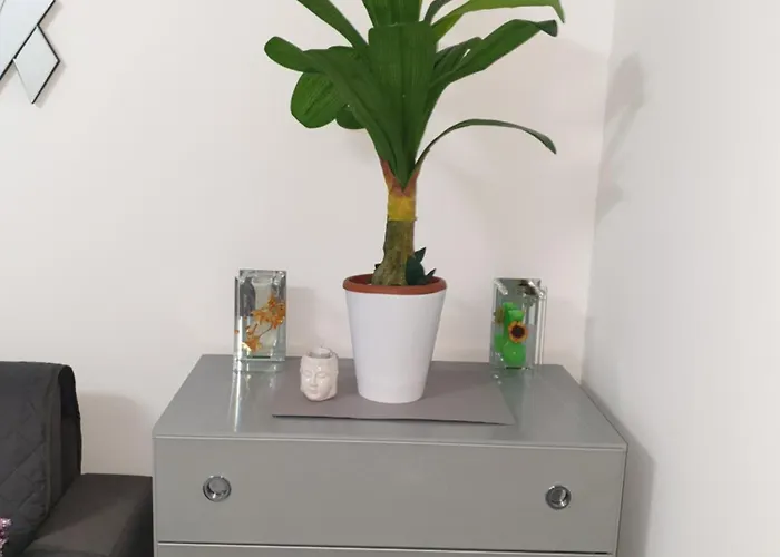 Appartement Place Close To The Ac Air , Wi Fi, Parking Nice
