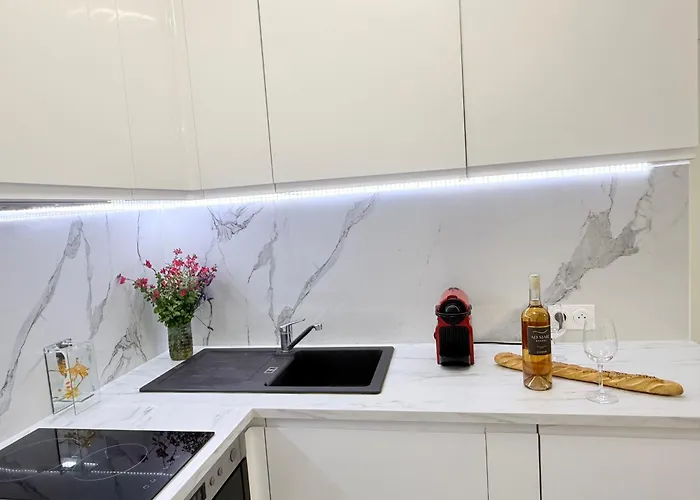 Appartement Place Close To The Ac Air , Wi Fi, Parking Nice